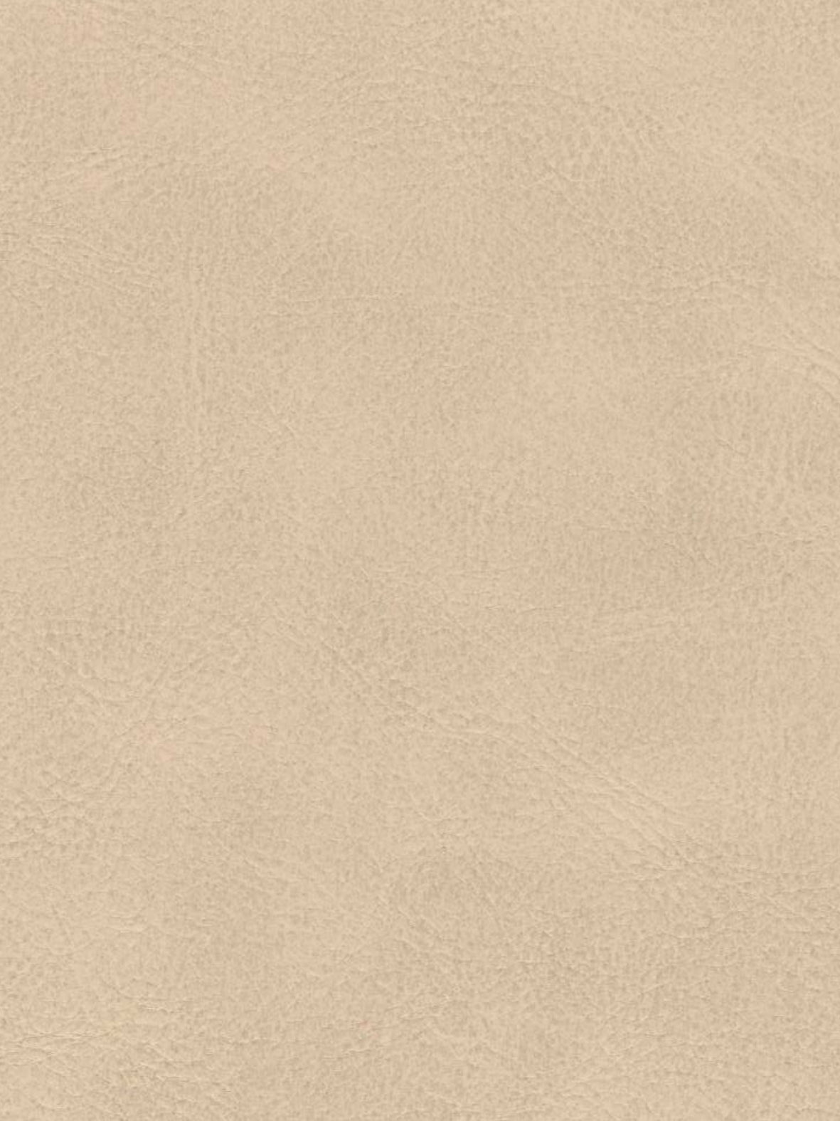 Imagen de A-306-ST-FR