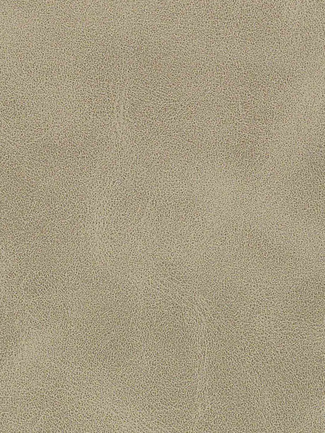 Imagen de A-307-ST-FR