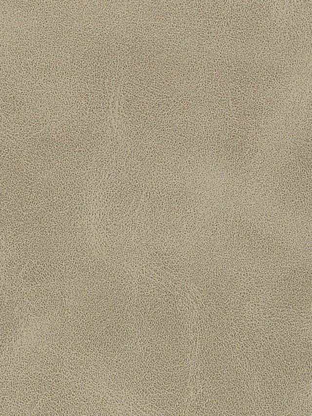 Imagen de A-307-ST-FR