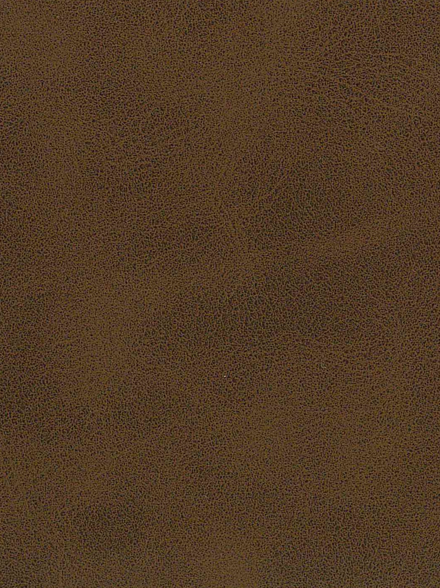 Imagen de A-318-ST-FR