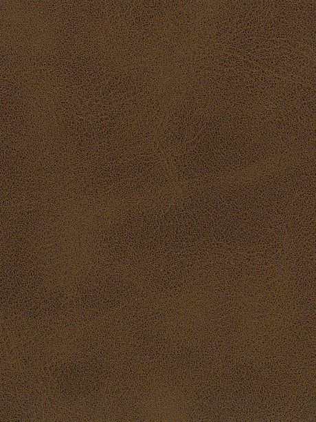 Imagen de A-318-ST
