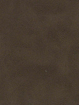 Imagen de A-319-ST-FR