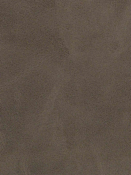 Imagen de A-320-ST-FR