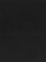 Imagen de A-323-ST-FR