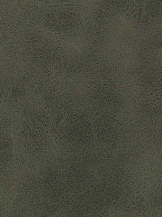 Imagen de A-375-ST-FR