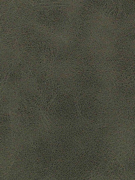 Imagen de A-375-ST