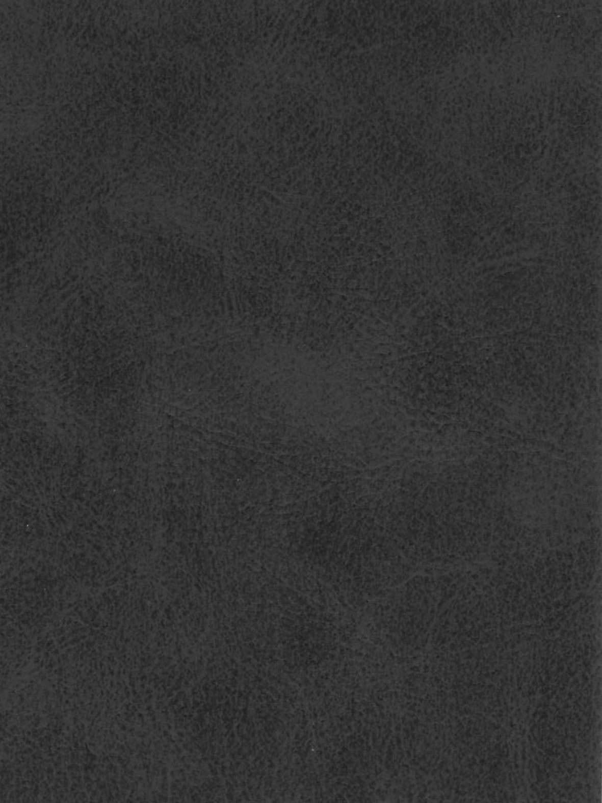 Imagen de A-390-ST-FR