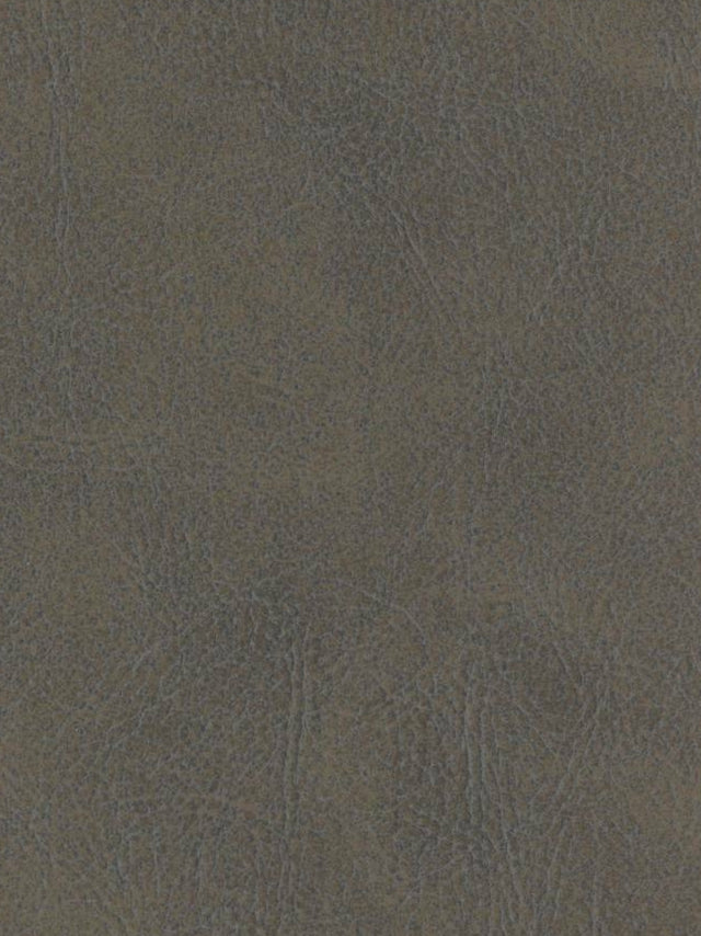 Imagen de A-475-ST-FR