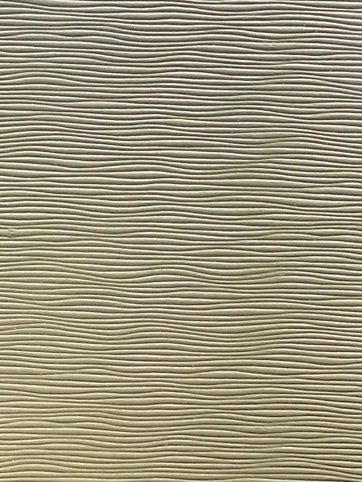 Imagen de BAM-SALVIA