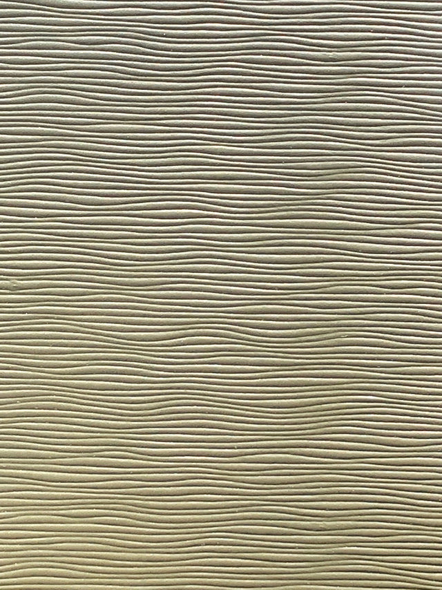 Imagen de BAM-SALVIA