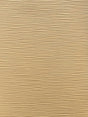 Imagen de BAM-TAUPE