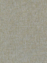 Imagen de BL-ABALONE