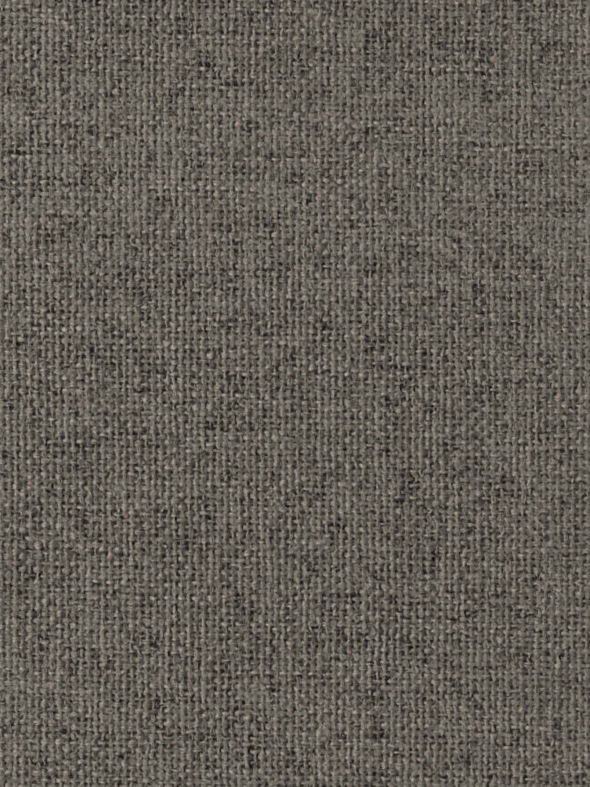 Imagen de BL-PORTOBELLO