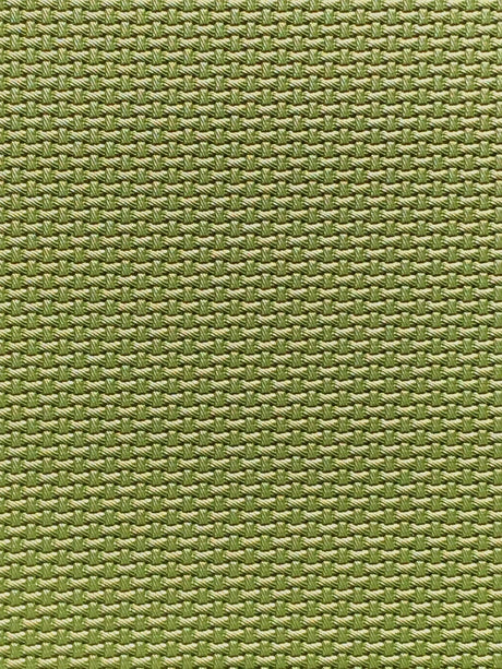 Imagen de CARB-KIWI