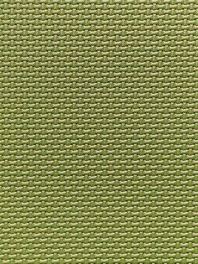 Imagen de CARB-KIWI