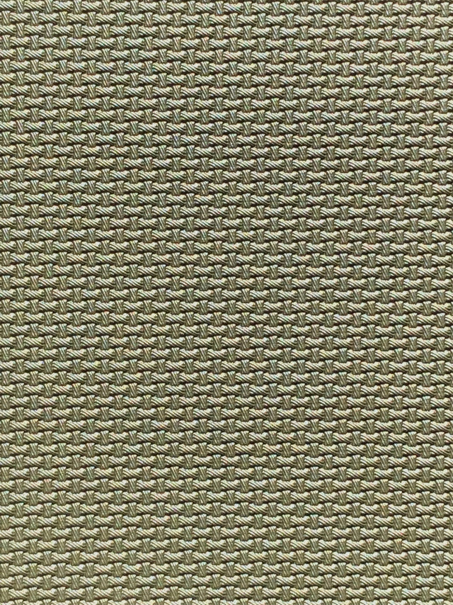 Imagen de CARB-SALVIA