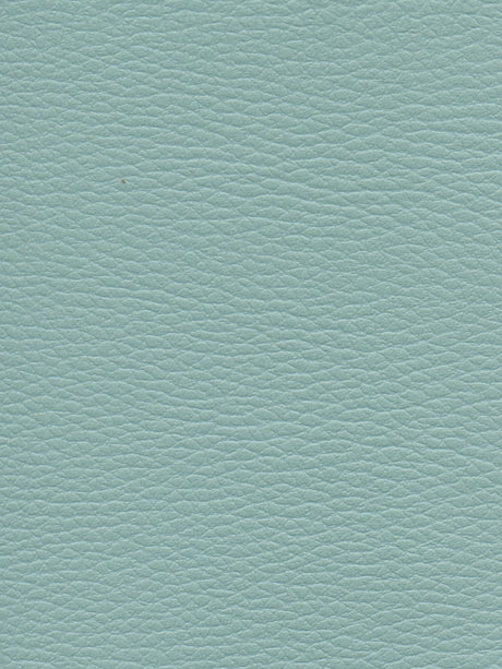 Imagen de CI-AIGUAMARINE