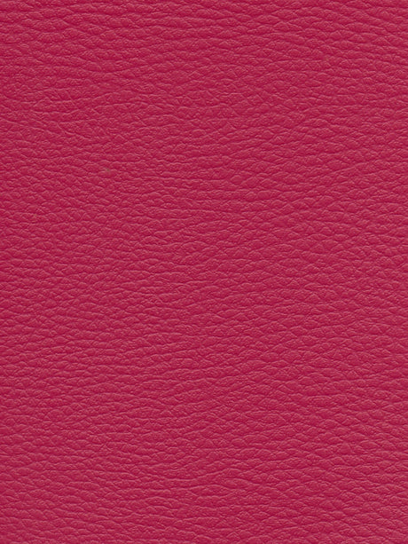 Imagen de CI-BEGOÑA