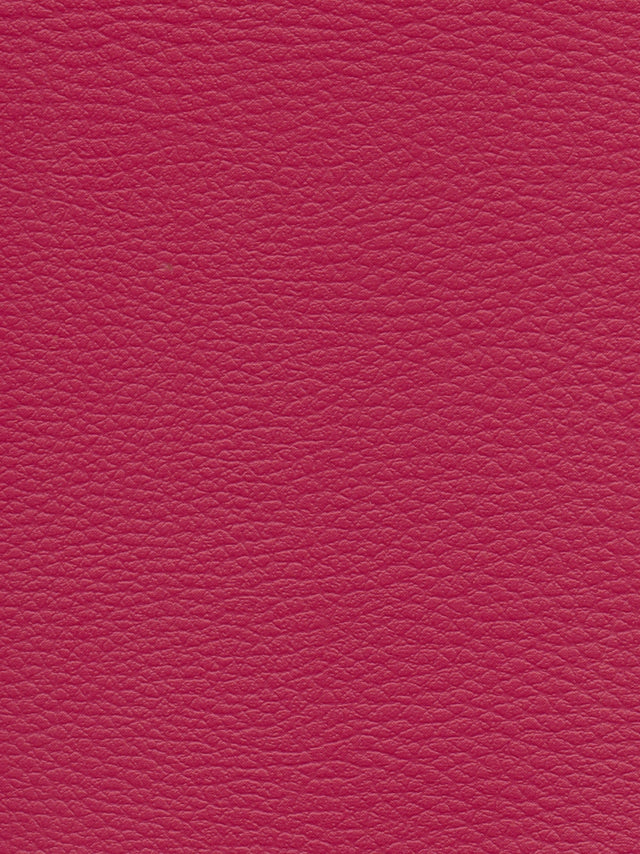 Imagen de CI-BEGOÑA