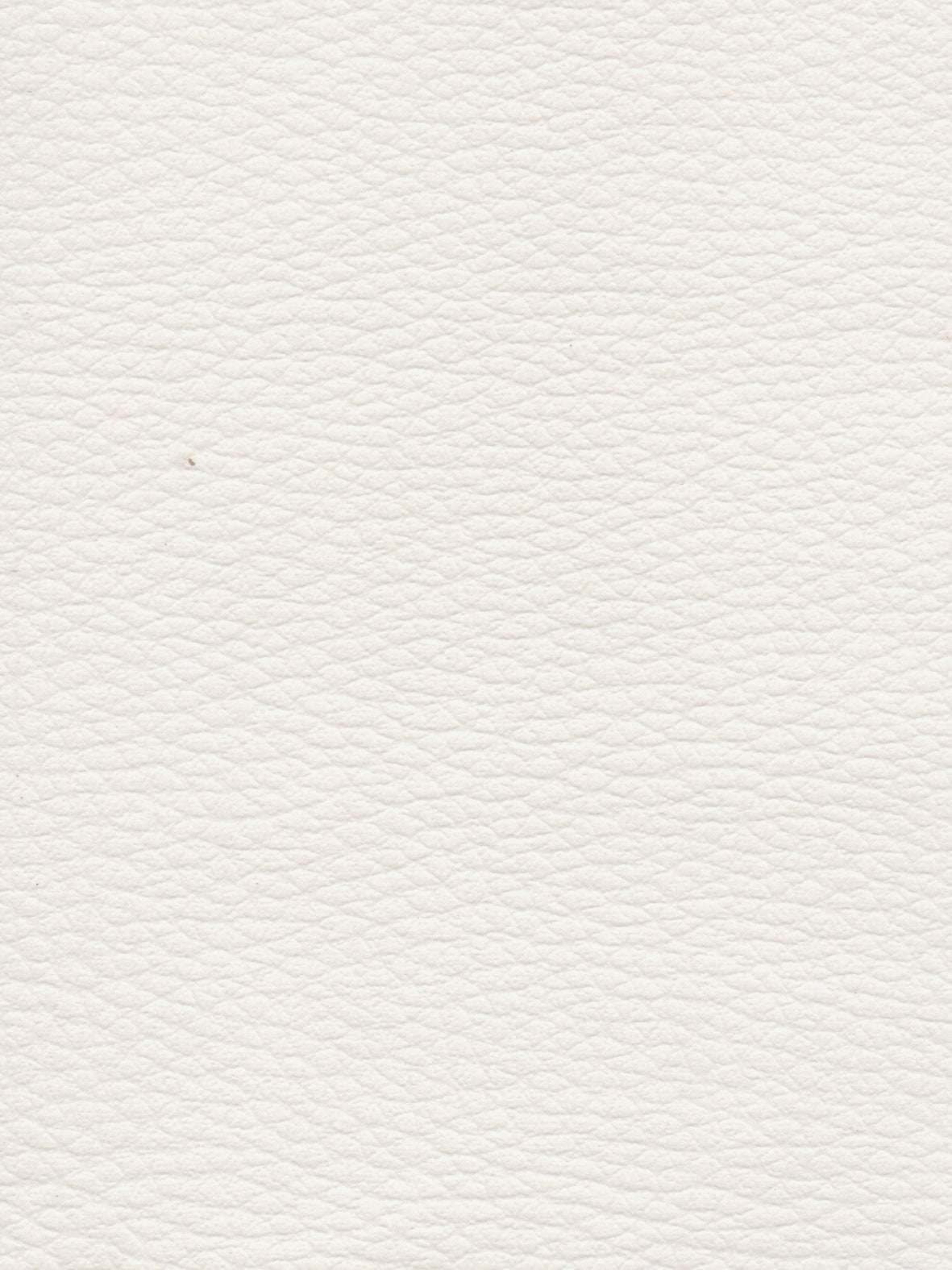 Imagen de CI-BLANC