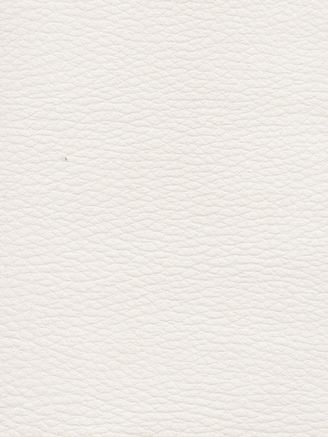 Imagen de CI-BLANC