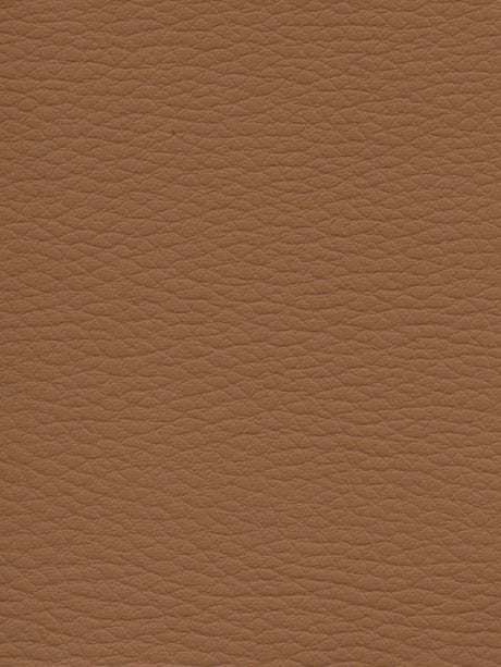 Imagen de CI-CAPUCCINO