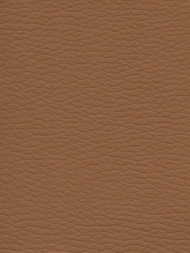 Imagen de CI-CAPUCCINO