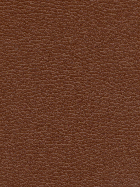 Imagen de CI-CHATAIGE