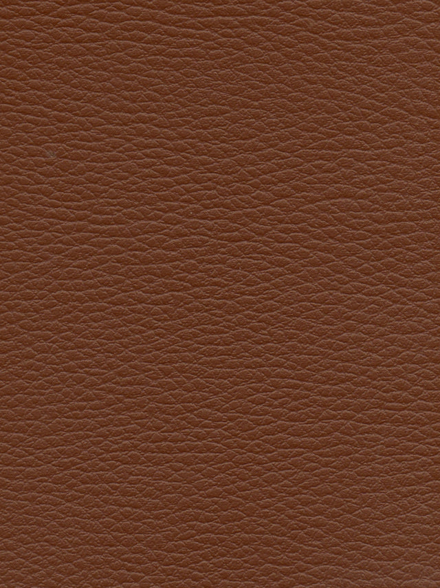 Imagen de CI-CHATAIGE