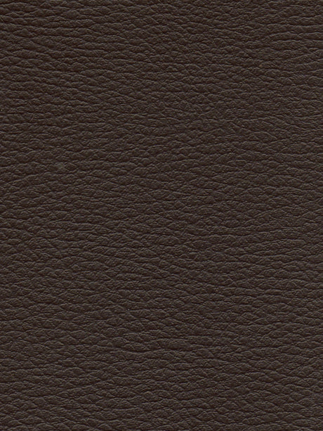 Imagen de CI-CHOCOLATE