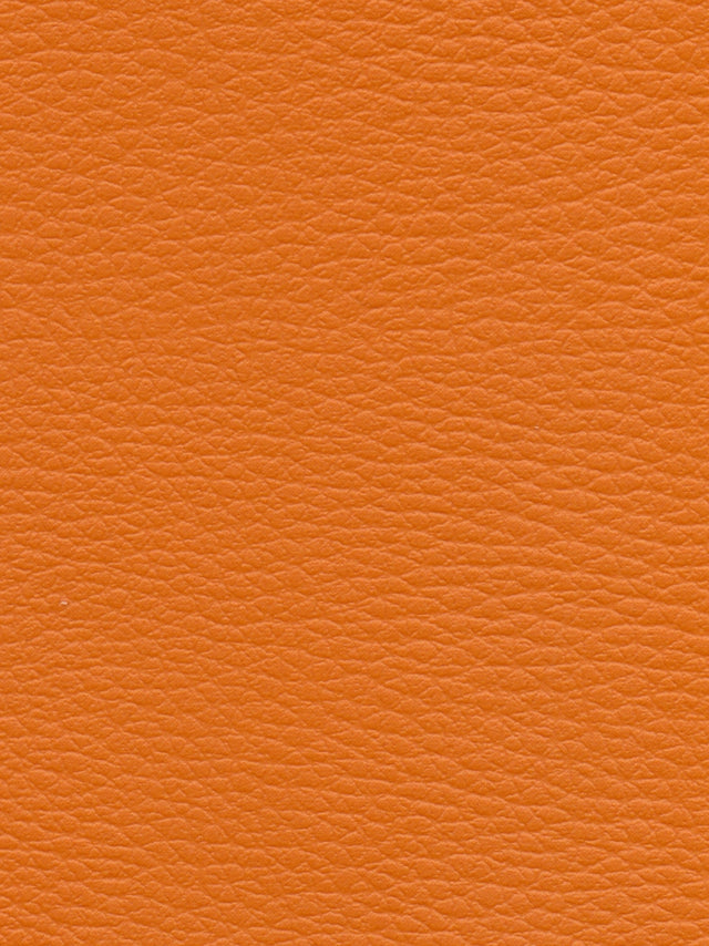 Imagen de CI-CITROUILLE