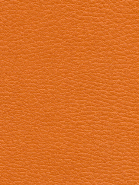 Imagen de CI-CITROUILLE