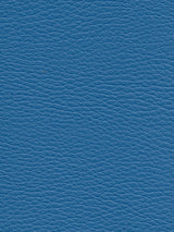 Imagen de CI-COBALT