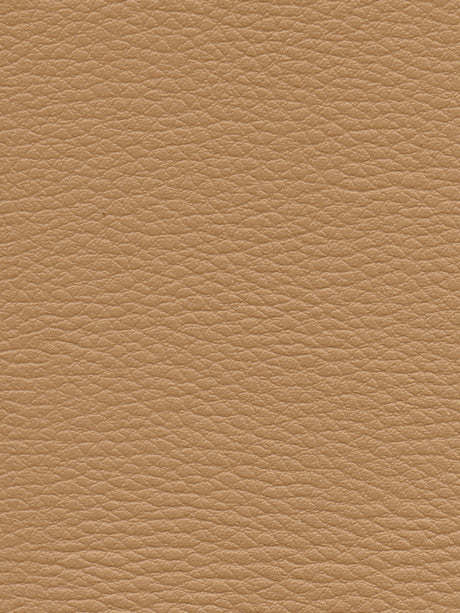 Imagen de CI-DUNE