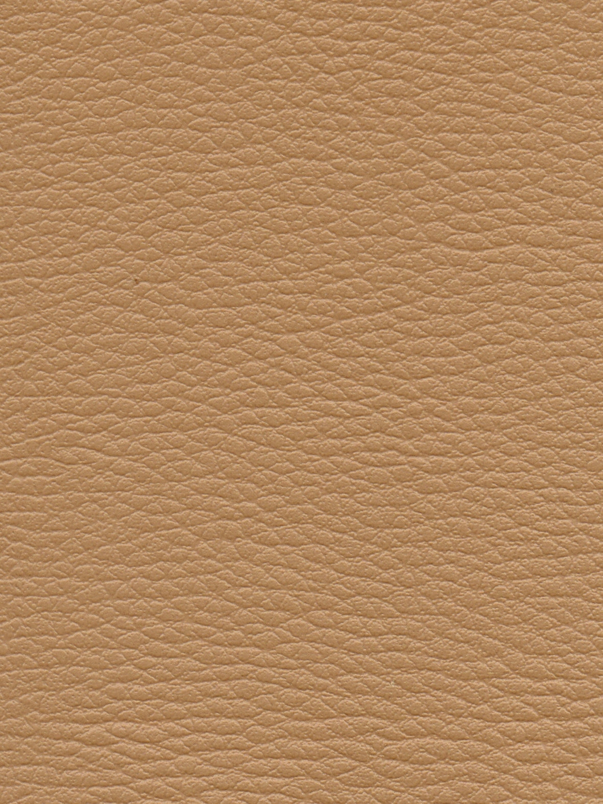Imagen de CI-DUNE