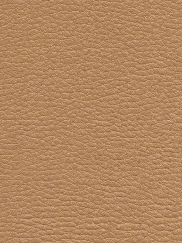 Imagen de CI-DUNE