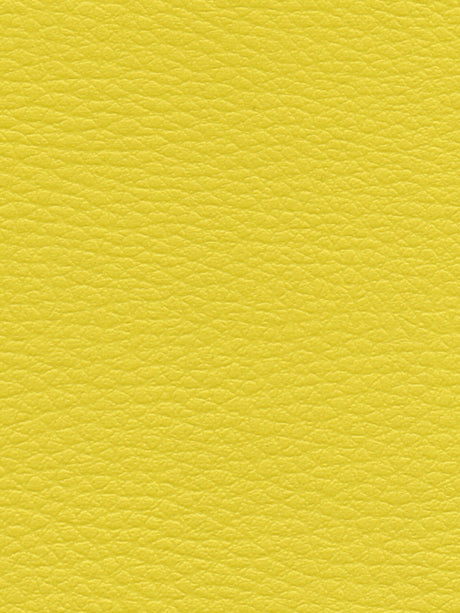 Imagen de CI-ENDIVE
