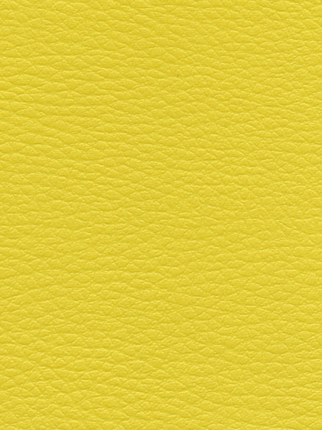 Imagen de CI-ENDIVE