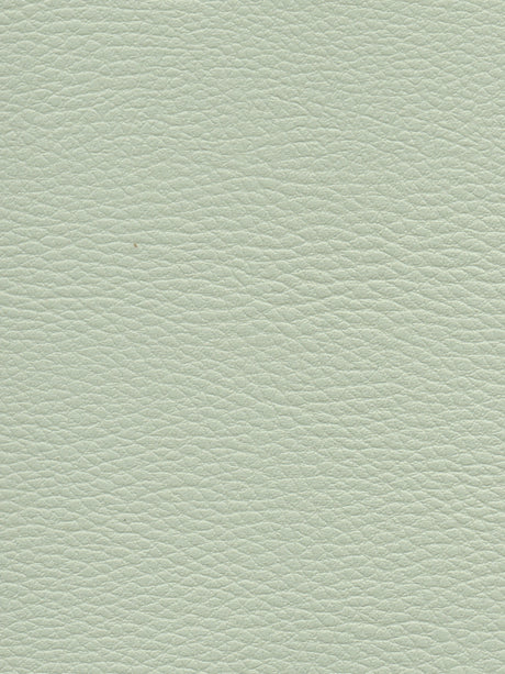 Imagen de CI-GLACIER