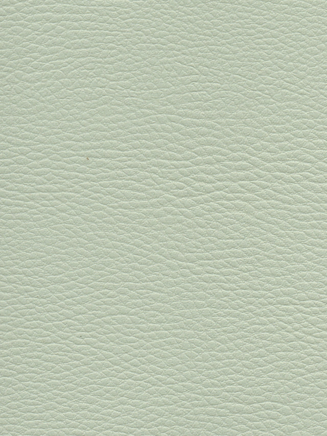 Imagen de CI-GLACIER