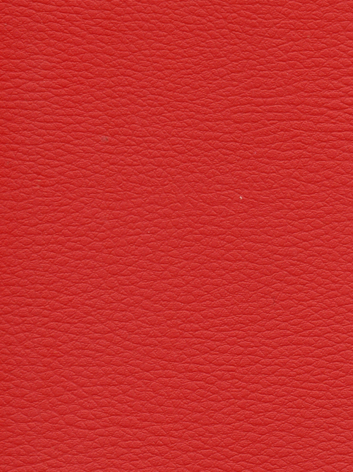 Imagen de CI-GROSELLE