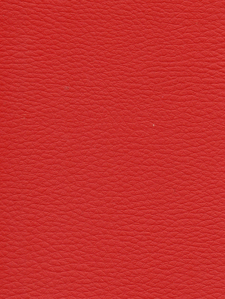 Imagen de CI-GROSELLE