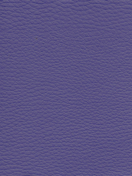 Imagen de CI-LAVANDA