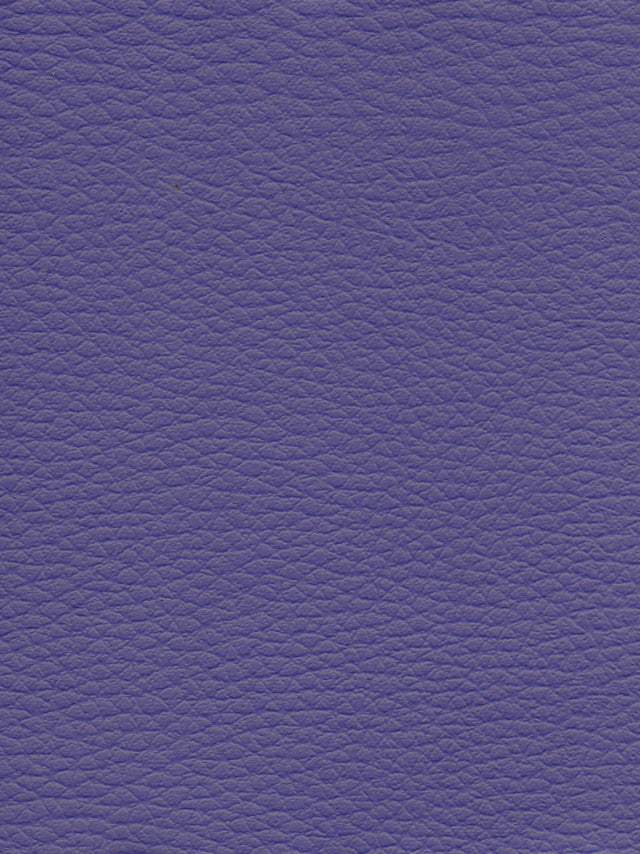 Imagen de CI-LAVANDA