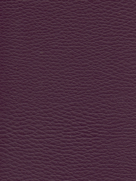 Imagen de CI-MARTILLE