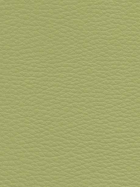 Imagen de CI-MENTHE