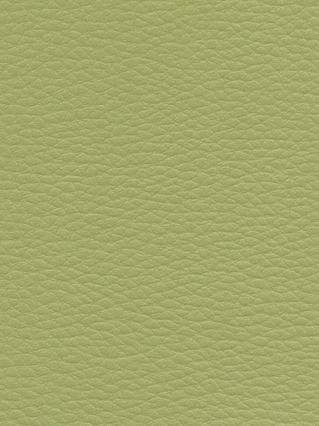 Imagen de CI-MENTHE