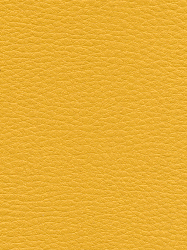 Imagen de CI-MIRABELLE