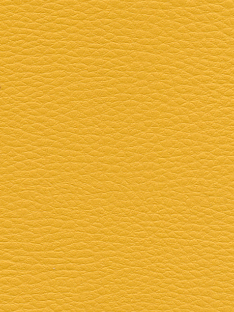 Imagen de CI-MIRABELLE