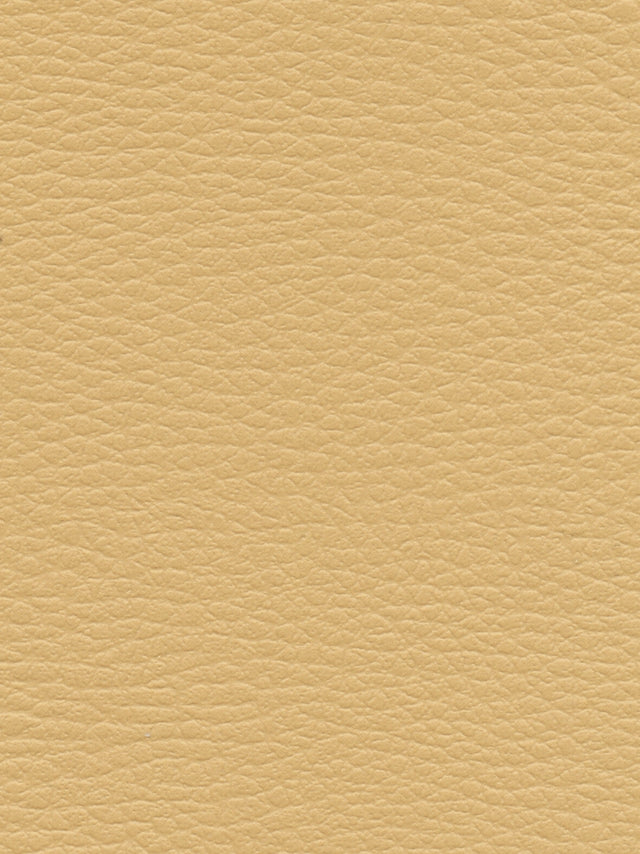 Imagen de CI-MOUTARDE